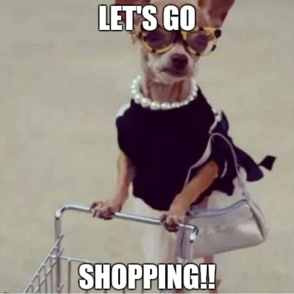 🌵 APRILSHU Live Show 🦉 - Picture 13 of 13